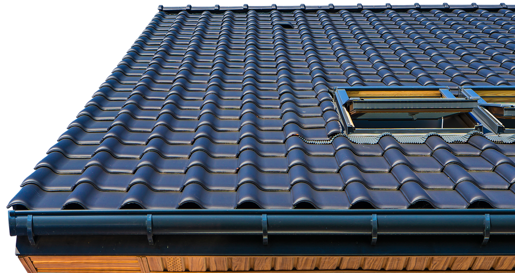 Roof with skylight